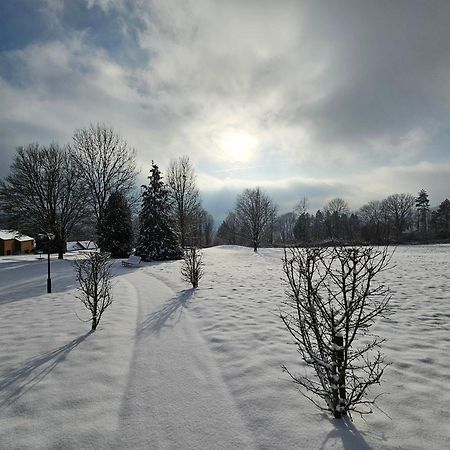 Maisons De Vacances Azur En Ardenne Durbuy Dış mekan fotoğraf