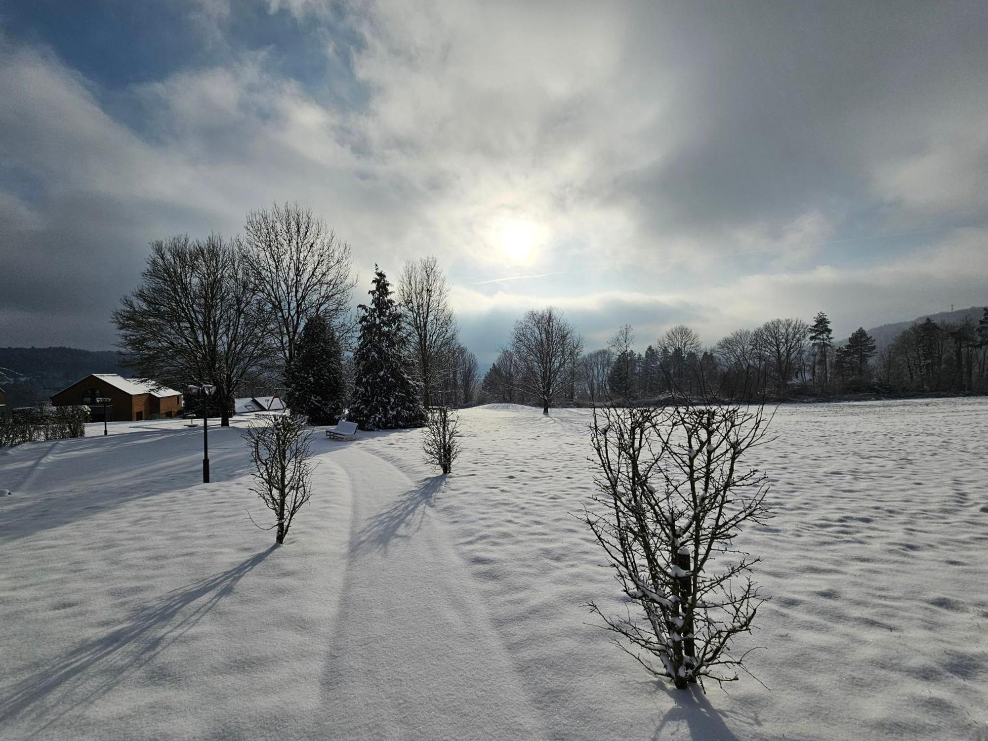 Maisons De Vacances Azur En Ardenne Durbuy Dış mekan fotoğraf
